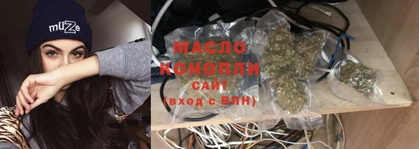 индика Лабытнанги
