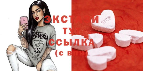 индика Лабытнанги