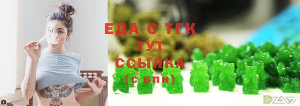 индика Лабытнанги