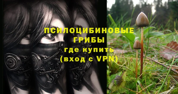 сатива Лагань