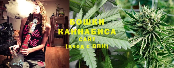 не бодяженный Ладушкин