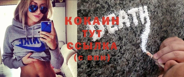 индика Лабытнанги
