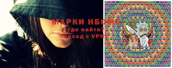 индика Лабытнанги