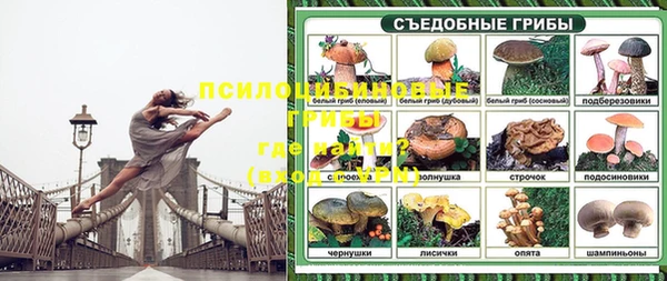 сатива Лагань