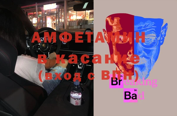 индика Лабытнанги