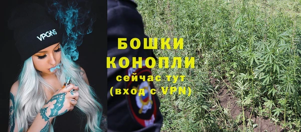 индика Лабытнанги