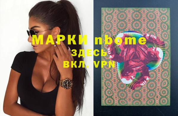 индика Лабытнанги